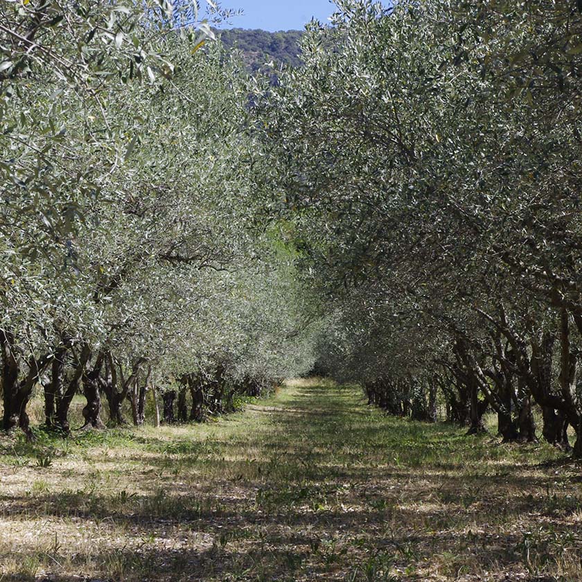 L'Atelier Adhémar en Drôme Provençale